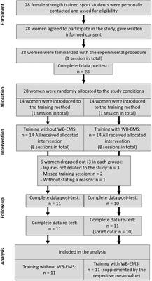 The Effects of Superimposed Whole-Body Electromyostimulation During Short-Term Strength Training on Physical Fitness in Physically Active Females: A Randomized Controlled Trial